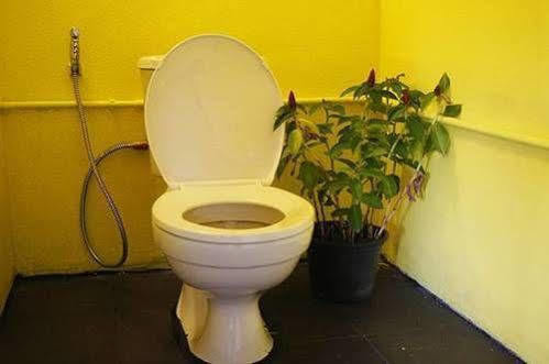 Dorm Des Fleurs Hostel 카오락 외부 사진